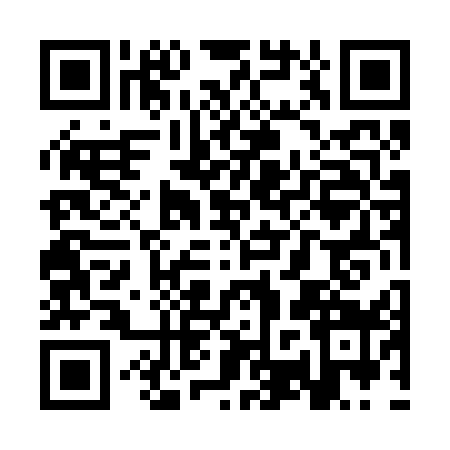 QR code for SRT2593