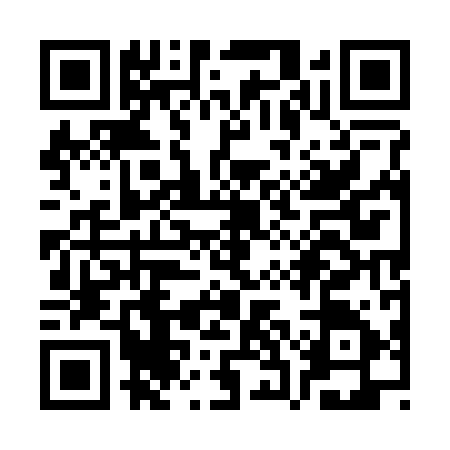 QR code for SSE2955