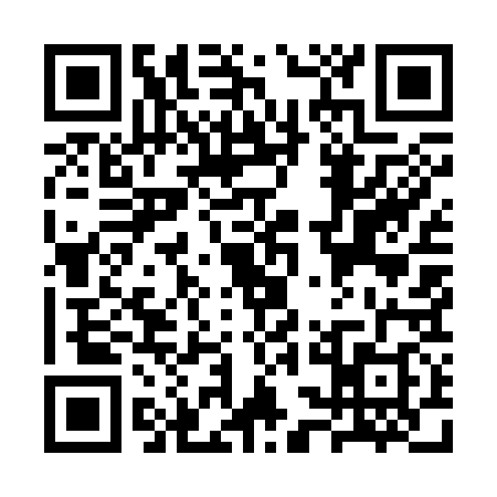 QR code for SSM3383