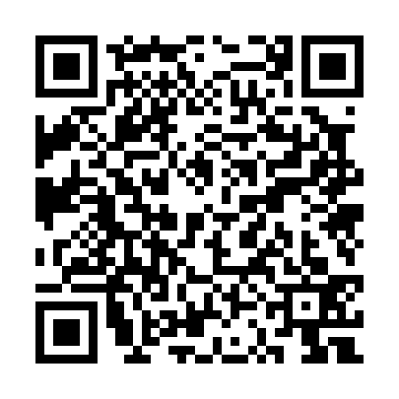 QR code for SSO0336