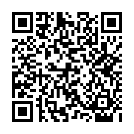 QR code for SSS0335
