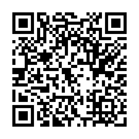 QR code for STI3313