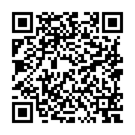 QR code for STI9924
