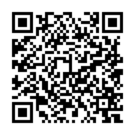 QR code for STP9673