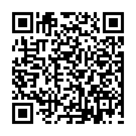 QR code for SVG3839