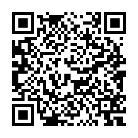 QR code for SVL2161