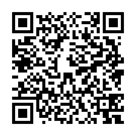 QR code for SXX6383