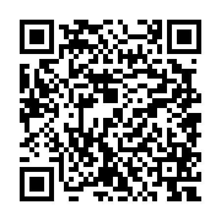 QR code for SYN0453
