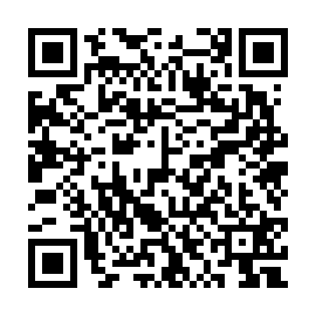QR code for SYO6217