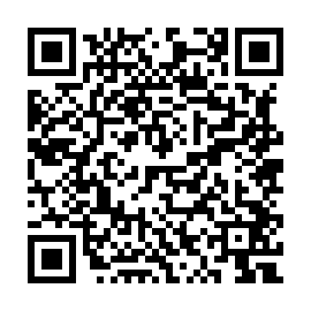 QR code for SYZ8421