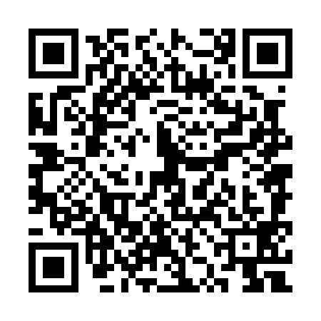 QR code for SZN0994