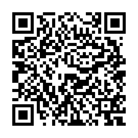 QR code for SZO6113