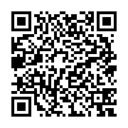 QR code for TCA6383