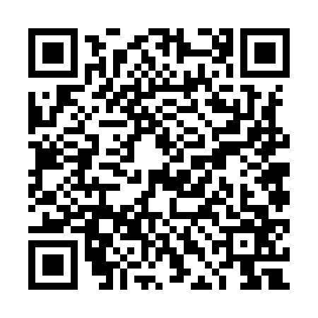 QR code for TDF9665