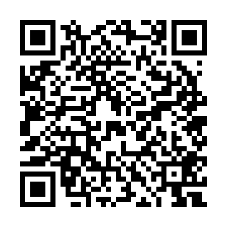 QR code for TDG2096