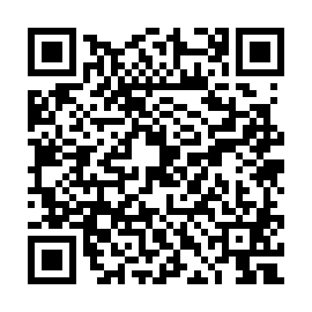 QR code for TDK3818