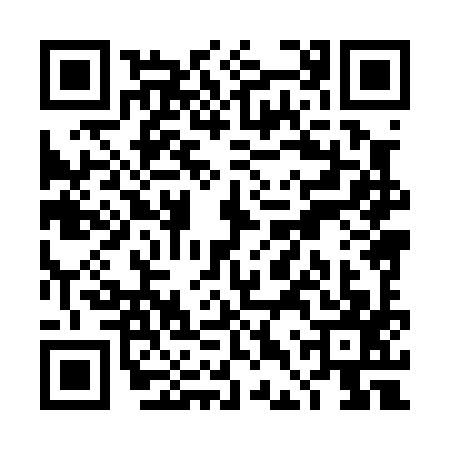 QR code for TDX0971