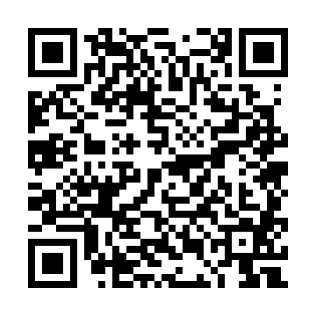 QR code for TEO3849