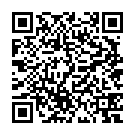 QR code for TGU4382