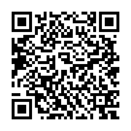 QR code for THE4339