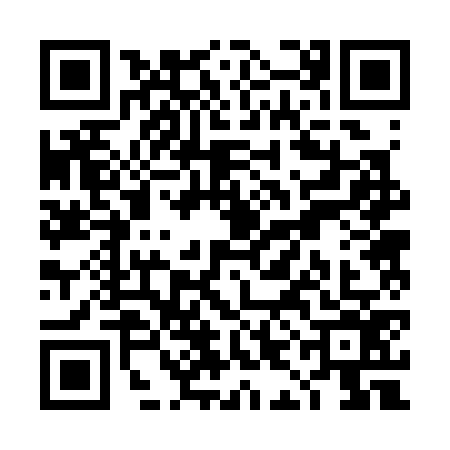 QR code for TIB3768