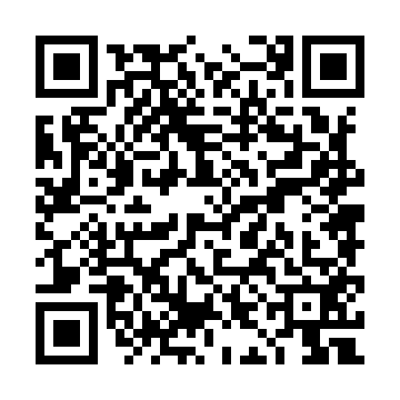QR code for TIN9523