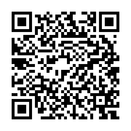 QR code for TIR2153