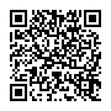 QR code for TIZ9165