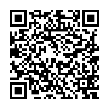 QR code for TJS9990