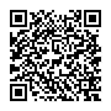QR code for TLE0699