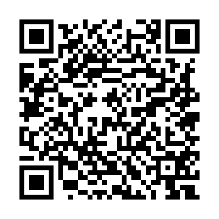 QR code for TLE9541