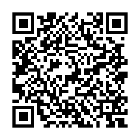 QR code for TLI0538