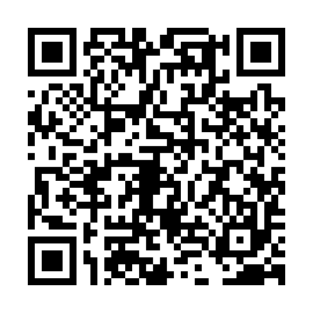 QR code for TLI3979
