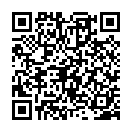 QR code for TLN0011
