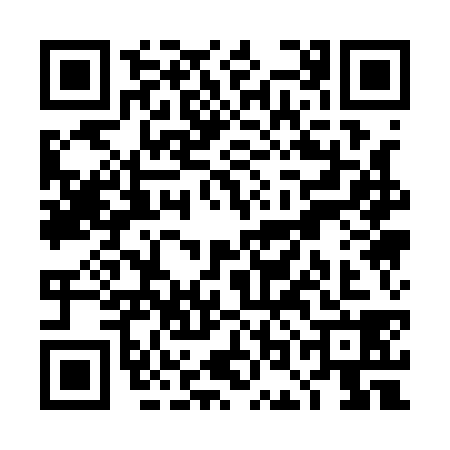 QR code for TOA1381
