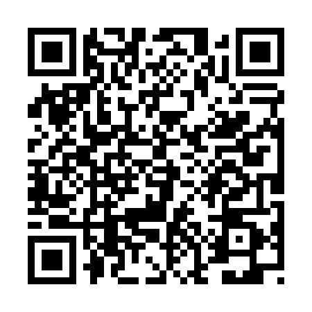 QR code for TOO0401