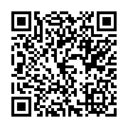 QR code for TOY2063