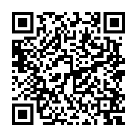 QR code for TOY4425