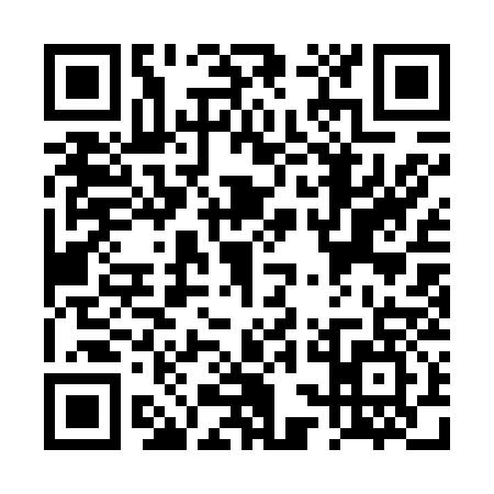 QR code for TSA6378