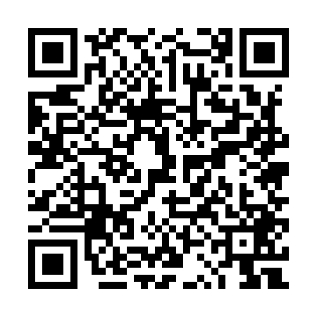 QR code for TSE9493