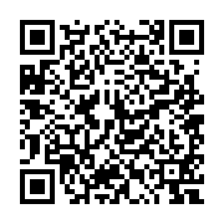 QR code for TUR3911