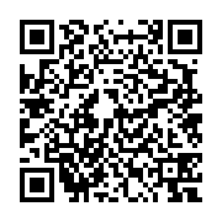 QR code for TUR4380