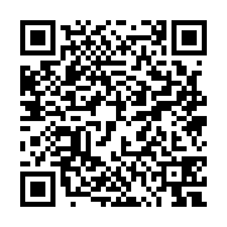 QR code for TWA1383
