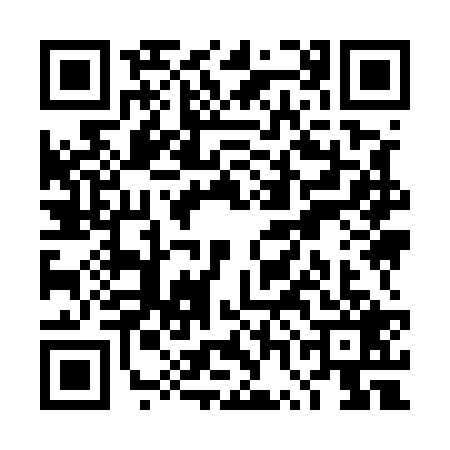 QR code for TWI5291