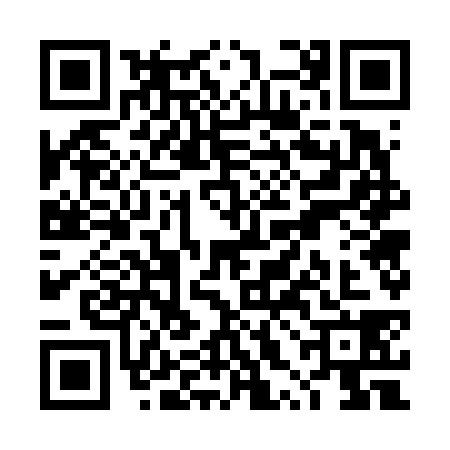 QR code for TXG6387