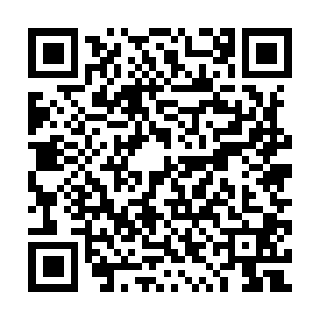 QR code for TYE9006