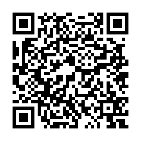QR code for TYZ0378