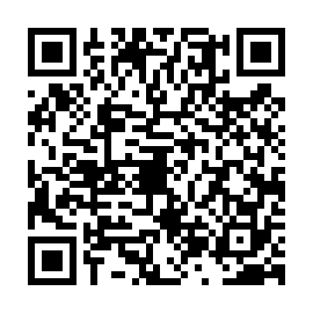 QR code for TZD4729