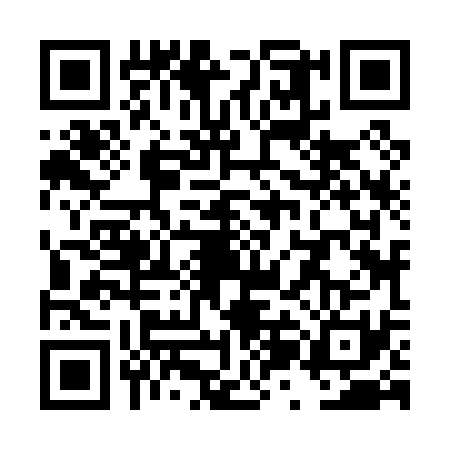 QR code for TZJ0313