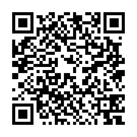 QR code for TZQ0387
